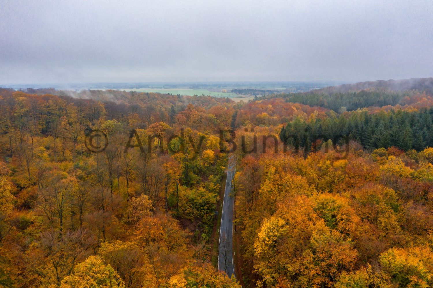 Preview ab201101_Herbst_0024.jpg